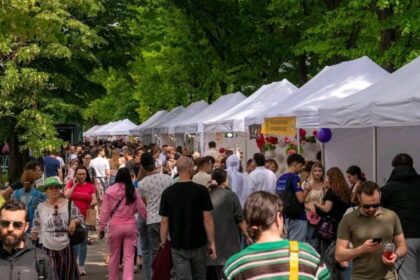 numaratoare inversa la west side flower fest mai sunt 6 zile in care comerciantii se pot inscrie la festivalul florilor din parcul drumul taberei 69c11c5ac0667