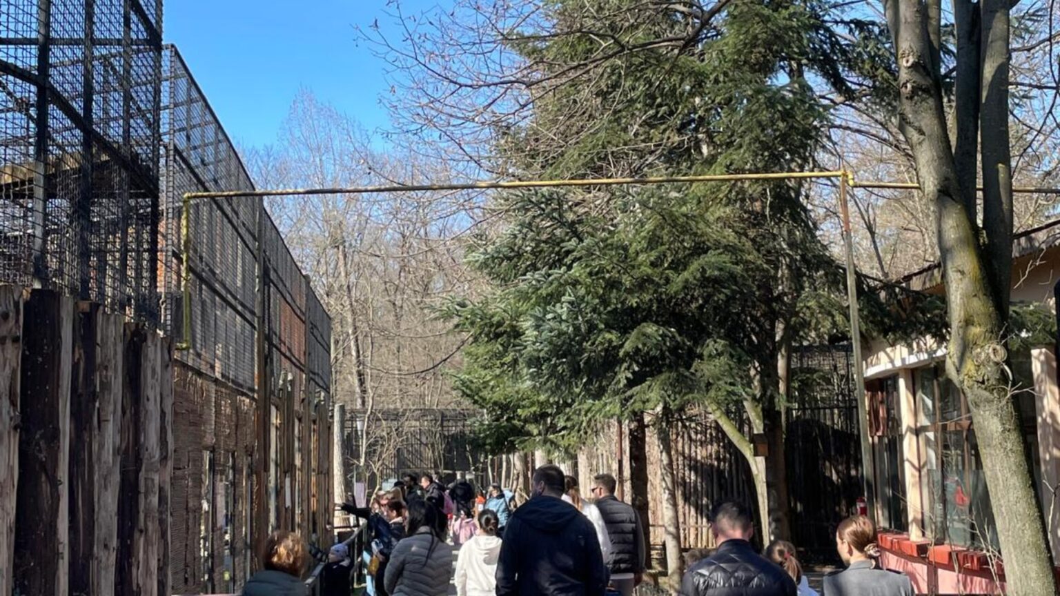 oo sau zoo eveniment pentru copii in weekend la gradina zoologica din bucuresti ateliere de pictura si de decorat oua printre activitati 69cbc5db0290a