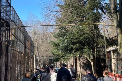 oo sau zoo eveniment pentru copii in weekend la gradina zoologica din bucuresti ateliere de pictura si de decorat oua printre activitati 69cbc5db0290a