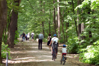 padurea baneasa arie protejata inca o promisiune din partea autoritatilor buzoianu cand vom avea toate documentele ministerul mediului va face acest pas 69bec1fa1791c