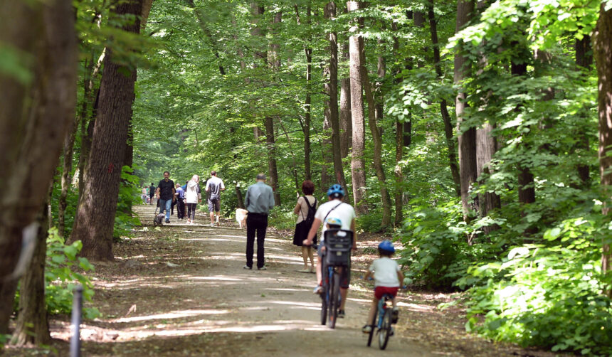 padurea baneasa arie protejata inca o promisiune din partea autoritatilor buzoianu cand vom avea toate documentele ministerul mediului va face acest pas 69bec1fa1791c