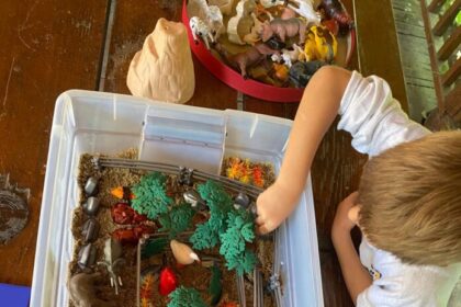 primaria capitalei da startul primaverii cu o serie de evenimente 69a43ed22e824