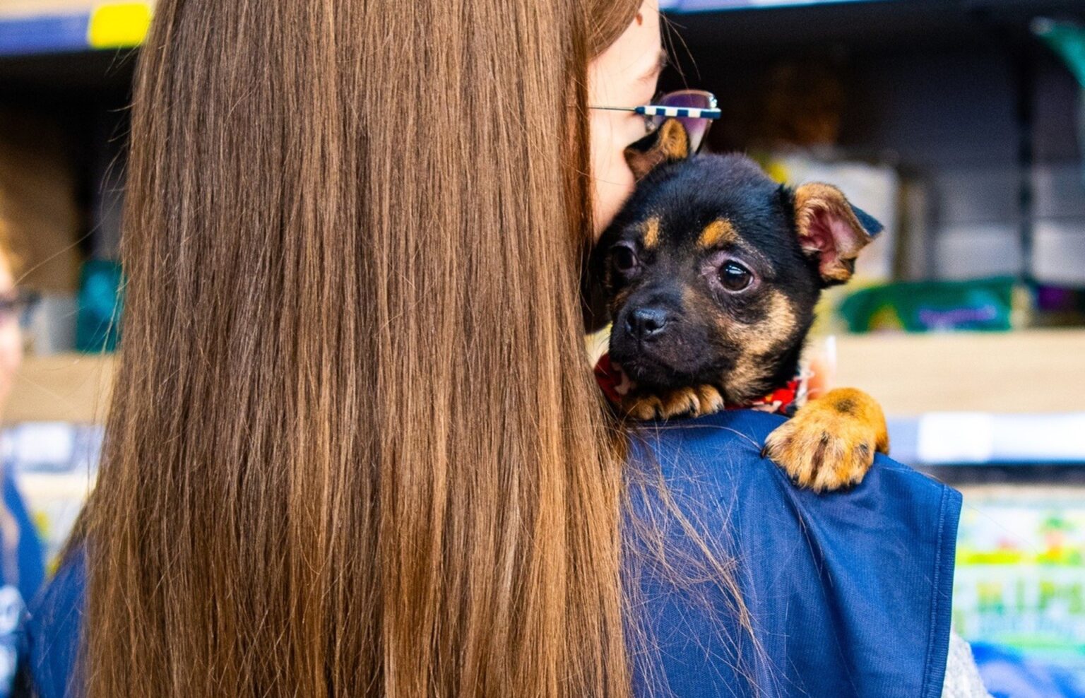 targ de adoptii aspa in ultimul weekend din martie o gasca de catelusi va veni la maxi pet mihai bravu sa si gaseasca o familie iubitoare 69b95cbc5156d