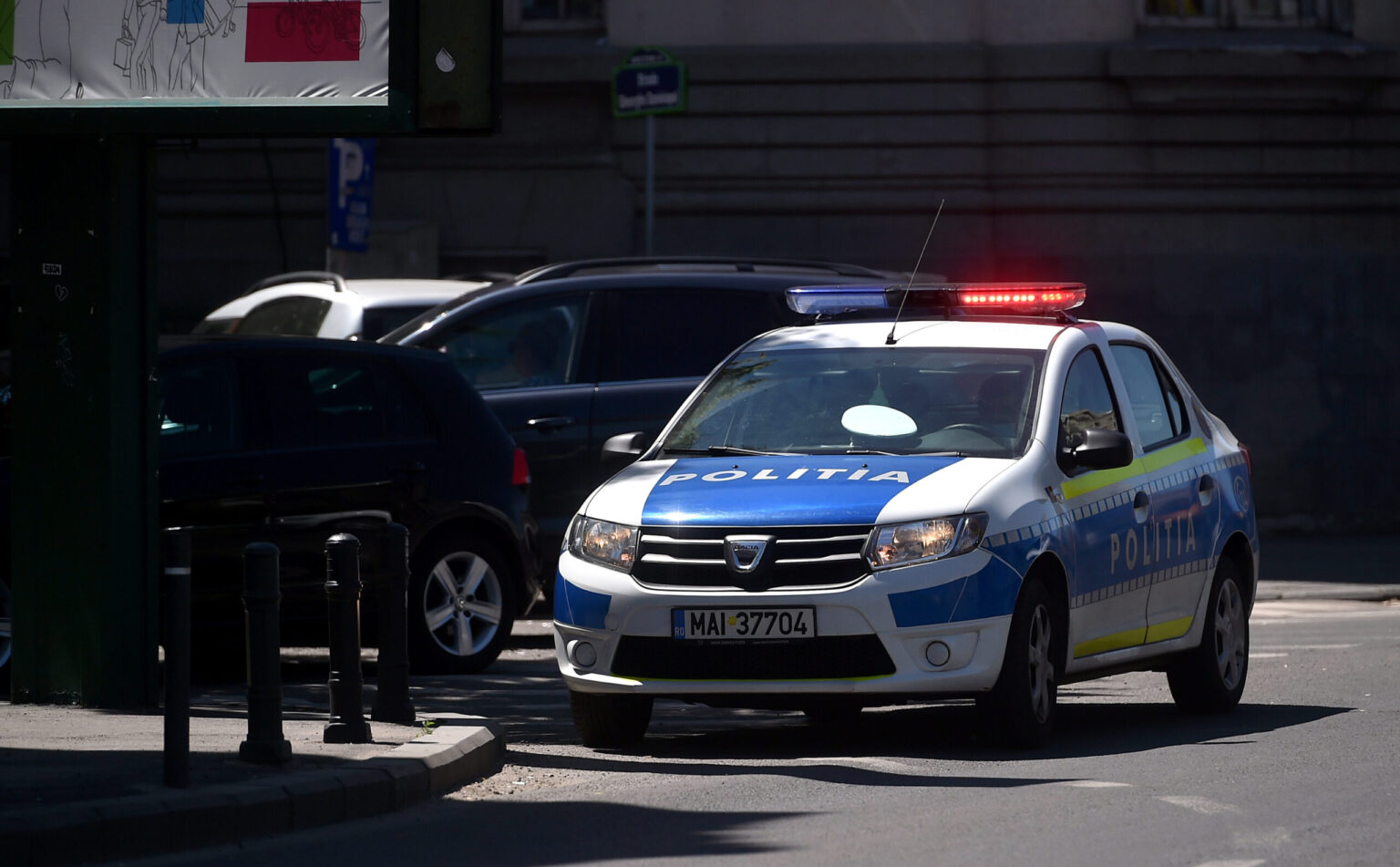 un caine ar fi fost calcat intentionat cu masina intr o localitate din ilfov politia a deschis dosar penal si cauta agresorul 69baa1fb170fc