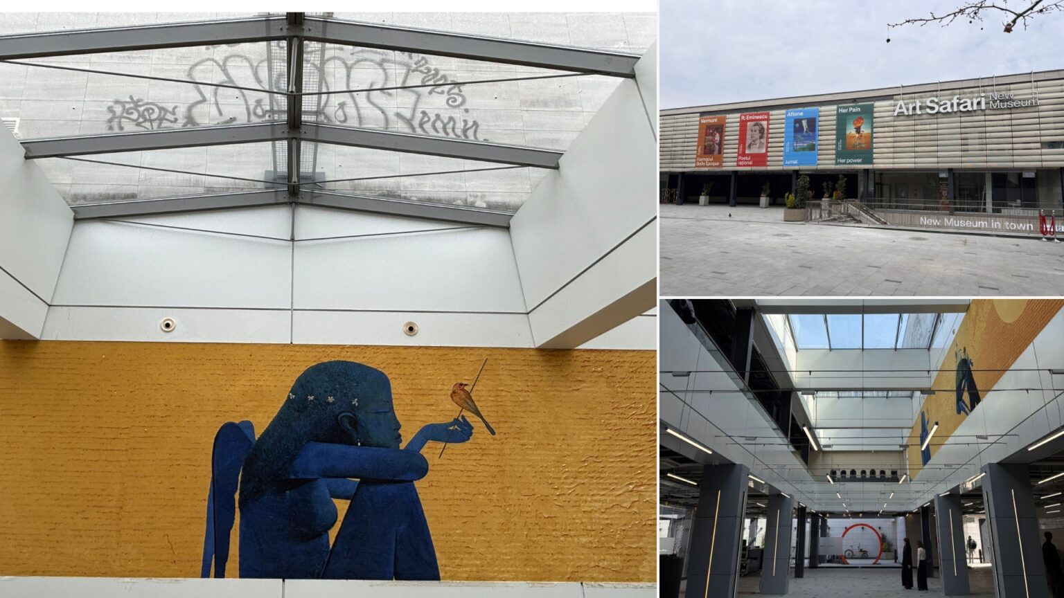 video detaliul aproape neobservat de la deschiderea art safari care are casa noua in piata amzei de ce merita sa l vezi e29da4efb88f 69c4119c3ff95