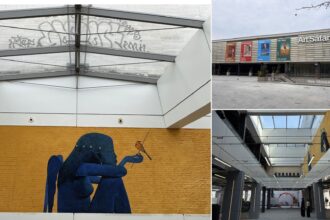 video detaliul aproape neobservat de la deschiderea art safari care are casa noua in piata amzei de ce merita sa l vezi e29da4efb88f 69c4119c3ff95