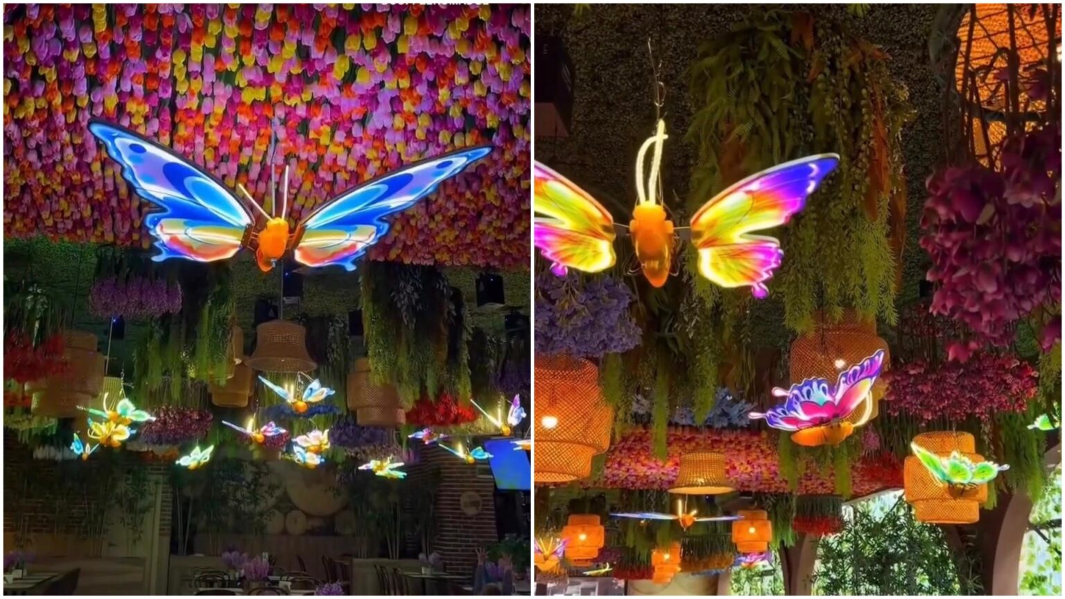 video magic garden show ul de la restaurantul vanity impresioneaza bucurestenii cu un decor de peste 20 000 de flori spectacolele au loc din ora in ora 69c56ec7ed3ca