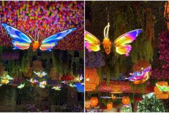 video magic garden show ul de la restaurantul vanity impresioneaza bucurestenii cu un decor de peste 20 000 de flori spectacolele au loc din ora in ora 69c56ec7ed3ca