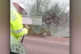 video momentul in care un politist sparge geamul masinii pentru a retine un sofer in botosani 69ca9b15c0ffc