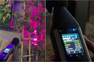 video pmb controleaza cu sonometrul galagia pe care o fac cluburile din centrul vechi amenzi de pana la 60 000 de lei pentru muzica prea tare noaptea 69b80bff30885