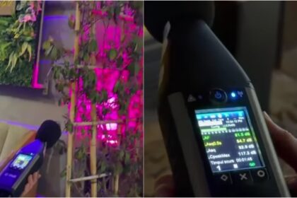 video pmb controleaza cu sonometrul galagia pe care o fac cluburile din centrul vechi amenzi de pana la 60 000 de lei pentru muzica prea tare noaptea 69b80bff30885