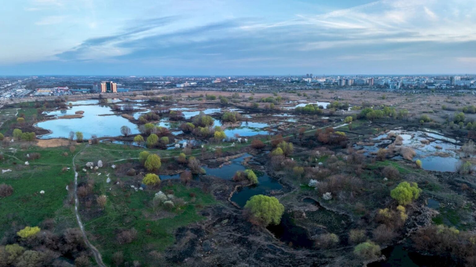 curatenie in casa broscutelor in parcul natural vacaresti bucurestenii pot participa la o noua actiune de ecologizare in weekend 69dcd7be50c8c