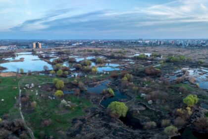 curatenie in casa broscutelor in parcul natural vacaresti bucurestenii pot participa la o noua actiune de ecologizare in weekend 69dcd7be50c8c