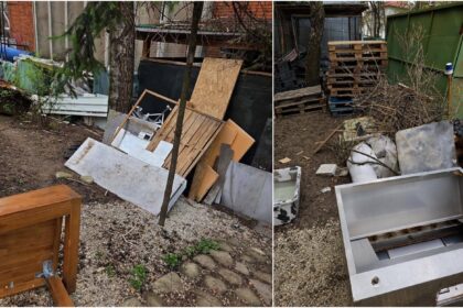 foto 70 000 de lei amenda pentru un restaurant din parcul herastrau anunta pmb dar nu ne spune si care a transformat din spatiul verde din jur in groapa de gunoi 69e87debbc668
