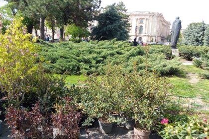 foto a inceput marea plantare din parcul ateneului roman vom avea rudbeckia kniphofia si alte plante cu denumiri greu de pronuntat 69eb7681d8e8e