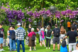 foto concurs pentru west side flower fest participantii ghicesc invitatul secret de la festivalul florilor din parcul drumul taberei si primesc premii 69eca9ca89d9a