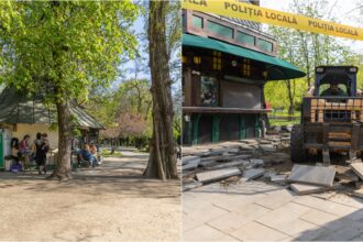 foto demolition day in cismigiu pmb scoate toate cascarabetele ilegale din parc raman doar chioscurile cu autorizatie 69e22df6b73aa