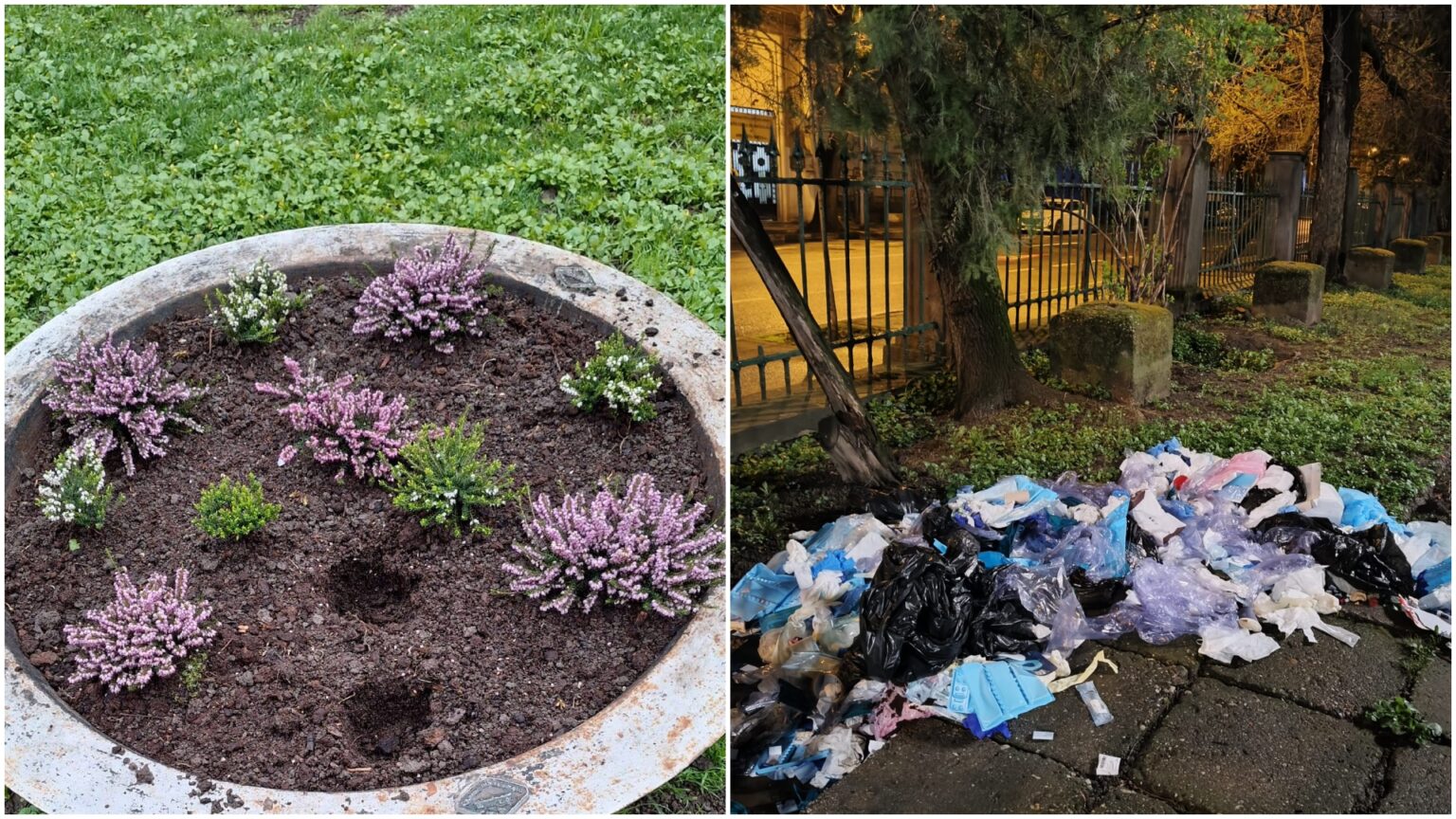 foto flori furate si gunoaie aruncate in parcul cismigiu din bucuresti politia locala a intensificat patrularile 69d0fdc3e111b