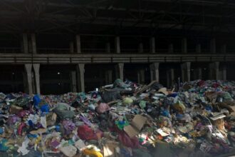 foto mormane de gunoi aduse intr un depozit din spatele halei laminor proprietarul si operatorul de salubritate din sectorul 3 au fost amendati de garda de mediu 69d777c485146