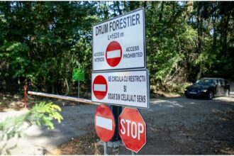 foto vesti bune de paste din padurea baneasa romsilva reziliaza contractul pentru drumul forestier catre cartierul greenfield motivele deciziei 69dcce36613e5