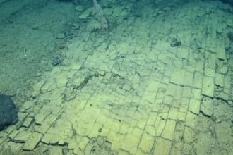 video este drumul catre atlantida incredibil ce au descoperit cercetatorii pe fundul oceanului la peste 3 000 de metri adancime 69db23db275f7