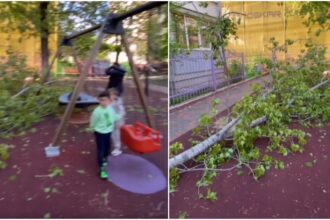 video un copac a cazut intr un parc de joaca din sectorul 3 in jurul blocurilor sunt pomi batrani care nu sunt toaletati se plang bucurestenii 69ea3313842d9