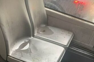 autobuzul stb care a vrut sa se spele singur cu apa de ploaie dar nu s a priceput deloc mai mult s a inundat si naclait 69f493acf409c