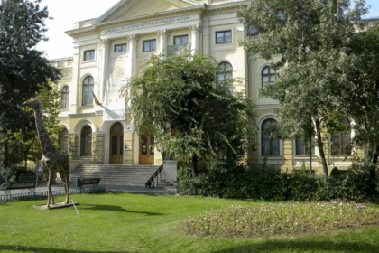 noaptea muzeelor e si la muzeul antipa anul acesta e cu jazz povesti despre lilieci si studiu de insecte bonus acces gratuit la expozitia permanenta 6a06fadb92d53