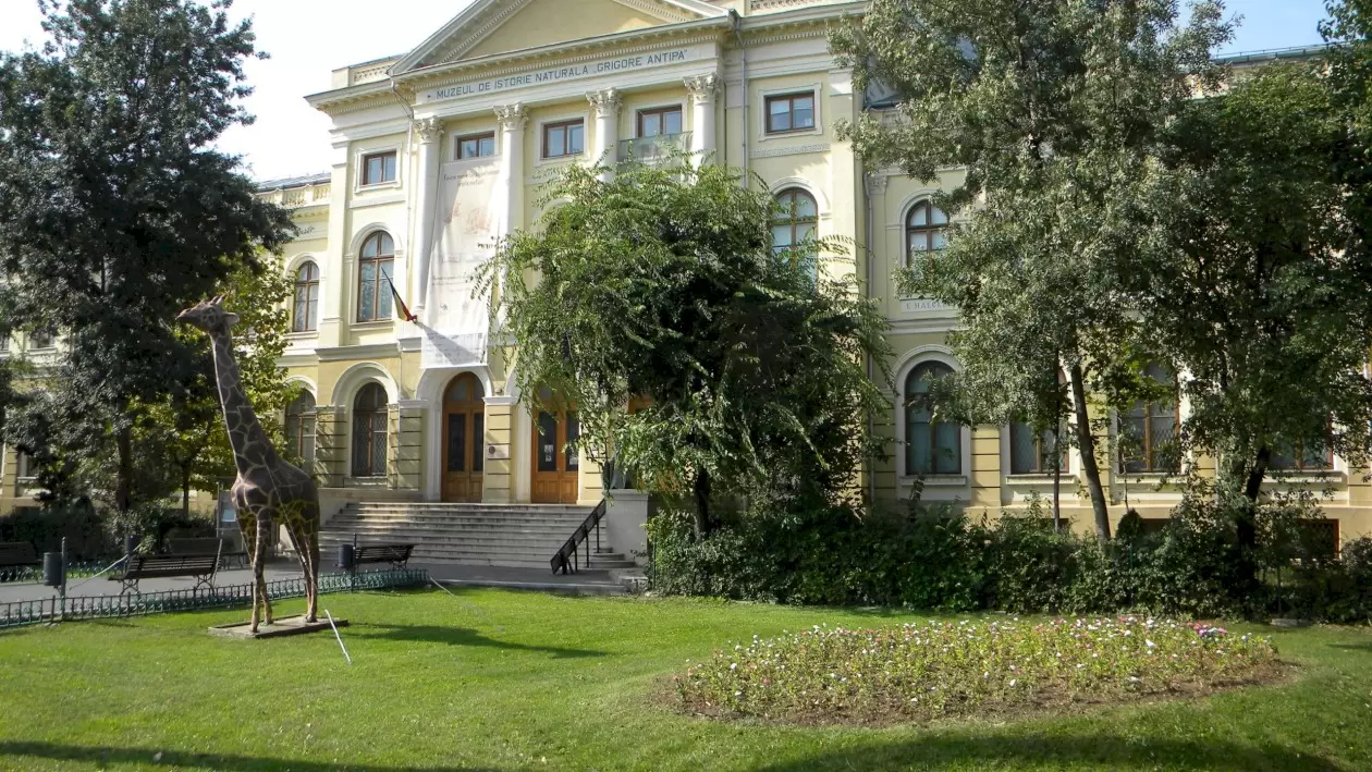 noaptea muzeelor e si la muzeul antipa anul acesta e cu jazz povesti despre lilieci si studiu de insecte bonus acces gratuit la expozitia permanenta 6a06fadb92d53