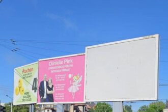 pmb anunta o noua victorie epica tip croitorasul cel viteaz vs muste in razboiul cu panourile publicitare amplasate ilegal azi trei dintr o lovitura in piata operei 6a0afad7dcd6a