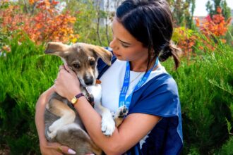 targ de adoptii de catei la festivalul prieteniei de la oratoriul leonardo murialdo in popesti leordeni aspa spera ca toti cateii sa si gaseasca aici familii 69f8899d3bde3