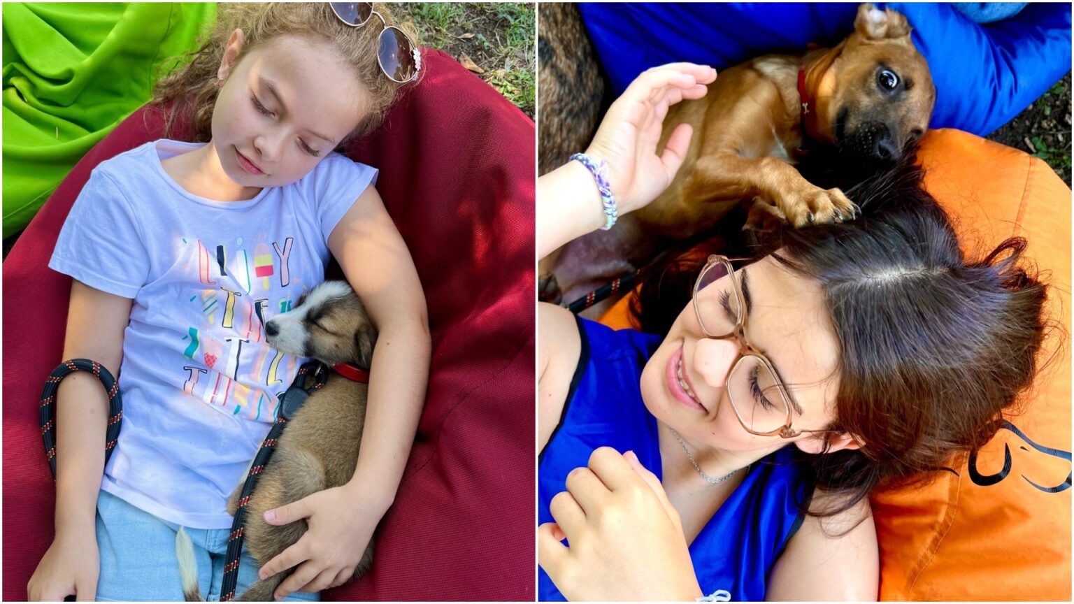 un nou targ de adoptii aspa va avea loc in bucuresti cateii isi asteapta stapani iubitori in parcul carol in weekend 69f9ecb5c7c81