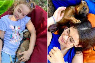 un nou targ de adoptii aspa va avea loc in bucuresti cateii isi asteapta stapani iubitori in parcul carol in weekend 69f9ecb5c7c81